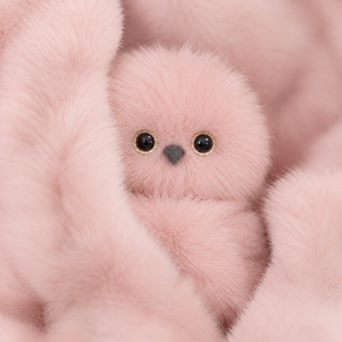 Pinky main